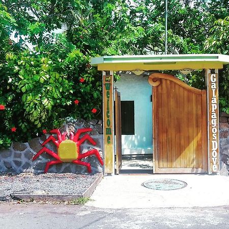 Galapagos Dove Hotel Puerto Ayora  Exterior foto